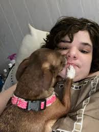 Chihuahua mix loves car rides and farm play