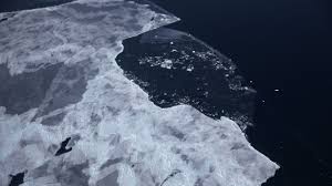 Arctic ocean facts for kids. The Southern Ocean Is The Fifth And Newest World Ocean