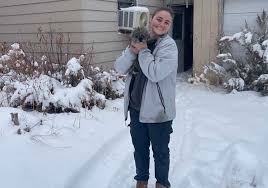 Definitely a miracle.' Small dog found three miles away from highway crash  where she went missing