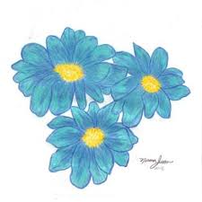 Flowers In Color Pencil Drawings Of Flowers Flower Drawing Flowers
