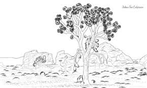 Every lesson from god's unfolding story for older preschoolers includes a parents connect page to help parents or guardians reinforce the lesson at home during the week following the lesson. Joshua Tree Coloring Page By Socal Field Trips Tpt