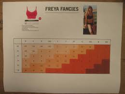 Off The Rack Reviewing Freya Fancies Bralette Hipster