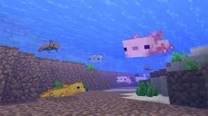 Minecraft forge 1.17 and 1.17.1, also known as modding api and modloader is a tool designed to ease the loading process and simplify compatibility forge is one of the oldest tools in minecraft, its first version was officially released july 11, 2011, and its latest stable version is minecraft forge 1.17.1. Minecraft 1 17 Features What S Included In Caves Cliffs Part 1 Pc Gamer