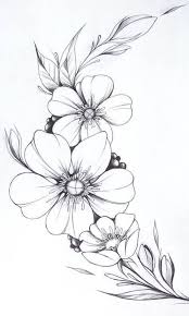 32 Beautiful Flower Drawing Information Ideas 2020 Flower Art Drawing Beautiful Flower Drawings Flower Sketches With these flower png images, you can directly use them in your design project without cutout. 32 beautiful flower drawing information
