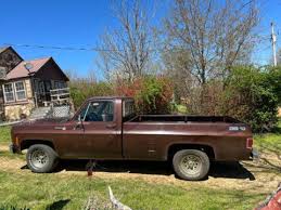 Image result for Brown 1979 Chevy Truck