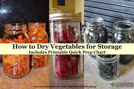 Here are tips for fresh vegetable storage on your counter, and in the refrigerator, to keep them fresh for example, some vegetables dry out and need to be kept moist, while others need air circulation to. Vegetable Dehydrating How To Dry Vegetables For Storage