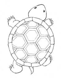 Kaplumbaga Boyama Sayfalari Okul Oncesi Etkinlik Faliyetleri Madamteacher Com Kaplumbaga Boyama Sayfalari Desenler