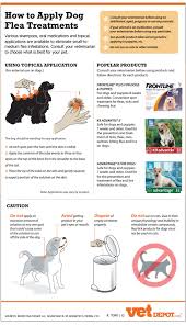 How long does it take to get rid of fleas on a dog? How To Safely And Effectively Apply Dog Flea Treatments Infographic Dog Flea Treatment Flea Treatment Dog Training Obedience