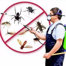 For a day in the life, john lennon wrote the opening and closing sections, while mccartney contributed the bridge. Take Pests Out Of Your Home Through Professional Pest Control Services Termite Control Termite Pest Control Pest Control
