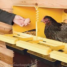 Plastic is one of the easiest materials to keep clean. How To Get Hens To Use A Nest Box