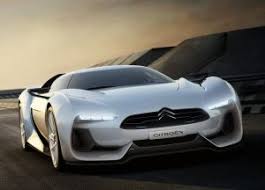 Image result for Brun Guaranja 2011 Citroen