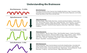 Shout Out To The Science Boffins When We Are Sleeping We Are In A Beautiful Delta Brainwave Of Sleep Try Not Vision Board Program Brain Waves Mindfulness