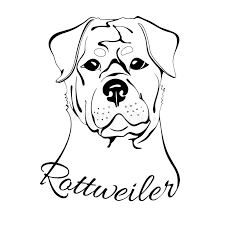 Pitties are sweet, caring and can be as gentle as any other dog. Head Rottweiler Stock Illustrations 543 Head Rottweiler Stock Illustrations Vectors Clipart Dreamstime