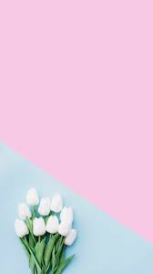 Pin By Mili On Muthis Arabalar Flower Iphone Wallpaper Flower Wallpaper Flower Phone Wallpaper