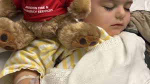 Fundraiser for Brittany Robertson by Samantha Giberson : Help for the  Robertson Family