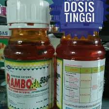 Rumput atau gulma di area persawahan ataupun di halaman rumah sedikit mengganggu tanaman sehingga perlu dibersihkan, cara yang paling mudah dengan menyemprotkan herbisida organik alami, selain aman dan ramah lingkungan juga mudah cara membuatnya. Herbisida Racun Obat Rumput Sistemik Dosis Tinggi Rambo Peak 250ml Membasmi Rumput Sampai Akar Paling Bersih Dan Tidak Tumbuh Tumbuh Lagi Lazada Indonesia