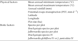 Image result for Julbernardia seretii
