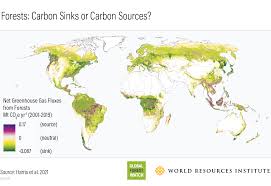 Dec 31, 2020 · early predictions for the 2021 atlantic hurricane season published by meteorologists at colorado state university suggest there is a 6 in 10 chance that the season will be very strong or above. Nasa Satellites Quantify Forests Impacts On Global Carbon Budget Nasa
