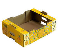 Apple Lemon Mango Banana Orange Fruit Tray Box Making Machine