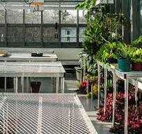 Greenhouse Benches - Solar Innovations