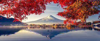 Don T Miss How To Plan Your Tokyo To Mount Fuji Day Trip