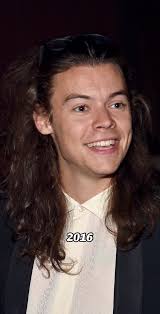 Harry Styles Se Rapa