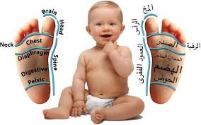 بالصور خريطة تدليك قدم الطفل سوبرماما Essential Oils For Babies Living Essentials Oils Baby Reflexology