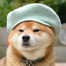1920x1080 you just got your own doge mask, thank you for reading this guide. 1 0 8 0 X 1 0 8 0 D O G E D O G Zonealarm Results