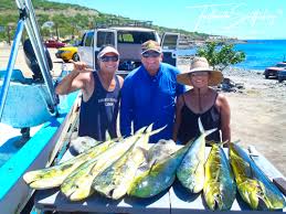 Tailhunter La Paz/Las Arenas Report October 2nd