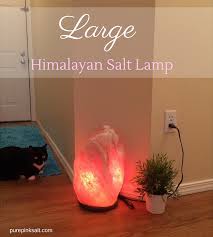 People claim they have exorbitant health benefits, but mostly they're just good at lighting up a room and attracting cats, apparently. Large Himalayan Salt Lamp The First Thing Our Guests Notice