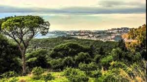 The country is roughly rectangular in shape, becoming narrower toward the. Lebanon Beyond The City Amazing Nature 2 Youtube