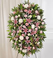 We did not find results for: Pastel Sympathy Standing Spray 1800flowers Com 148717