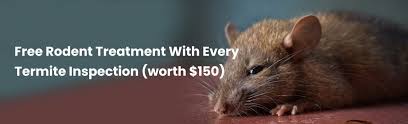 Building inspections melbourne & suburbs. Pest Control Northern Suburbs Termite Inspection Treatment
