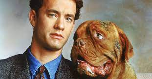 We did not find results for: Nuncajamas Cocker Tom Hanks Y Beasley Socios Y Sabuesos