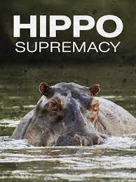 Watch Hippo Supremacy | Prime Video