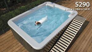 This Is A Pool Your Dog Can Definitely Swim In Because It S Actually For Hydrotherapy If Your Fur Baby Is Having Dog Swimming Pools Dog Pool Hydrotherapy Pool