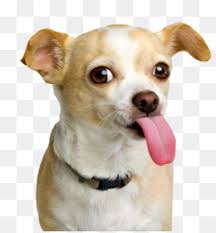 Dog Tongue Png Cartoon Dog Tongue Black And White Dog