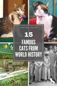 This name has an obscure history with gaelic, old norse, or old english roots. 15 Famous Cats From World History Litter Robot Blog