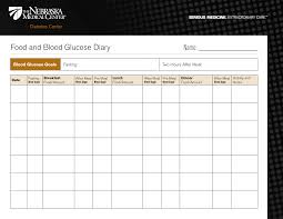 Diabetic Food Diary Template Printable Food And Blood