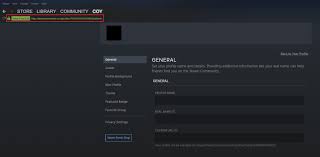 4 Ways To Find Your Steam Id Using Your Computer - Saint