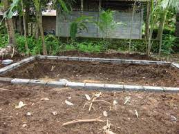 Tetapi yang perlu diingat, dalam pembuatan konstruksi kolam lele tembok / beton pada bagian dasar kolam dibuat agak miring dari arah pemasukan air ke arah. Fakta Budidaya Ikan Nila Kolam Beton Untuk Pemula