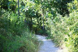 102 holiday court, byron 31008, united states. Backpackers Inn On The Beach Byron Bay Updated 2021 Prices