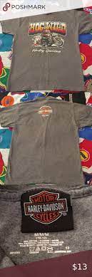 Harley Davidson Hog Wild Youth Shirt In 2021 Harley T Shirts Harley Shirts Youth Shirts