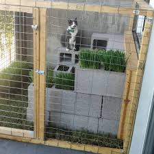 Lovin The Single Life On The Catio Jibjab Catio Cat Patio Cat Enclosure Outdoor Cat Enclosure