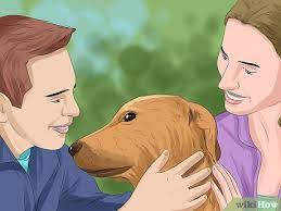 Check spelling or type a new query. How To Decide Who Gets The Pet In A Divorce 13 Steps