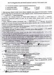 vize ve final sorulari panosundaki pin