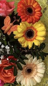Gerbera Flower Gerbera Flower Flowers Flowers Online