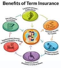 Check spelling or type a new query. Everything You Need To Know About Life Insurance