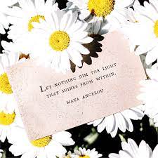 Positive Quotes Daisy Quotes Daisy Positive Quotes