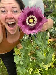 Homesteading community for singles is helpful